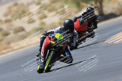 media/May-14-2023-SoCal Trackdays (Sun) [[024eb53b40]]/Turn 5 Tree of Life (1125am)/